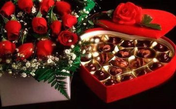 520亲子活动方案最新8篇