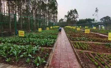 学做菜心得体会6篇
