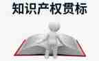知识产权日宣传活动总结7篇
