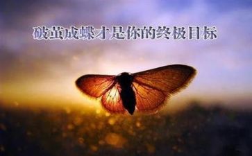 与挫折的作文5篇