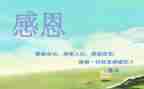 心怀感恩的作文5篇