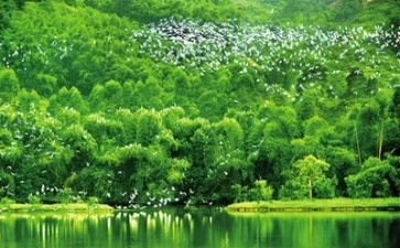 环境科工作计划优秀5篇