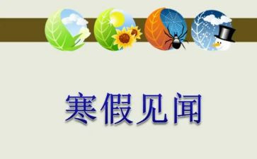 2024元旦见闻作文500字5篇