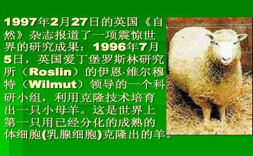 克隆的我作文300字5篇