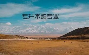 跨专业个人总结最新8篇