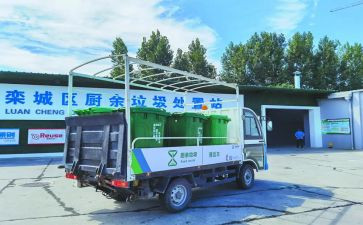 垃圾处理与分类的调查报告5篇