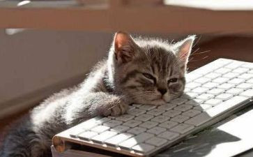 累并快乐作文最新5篇