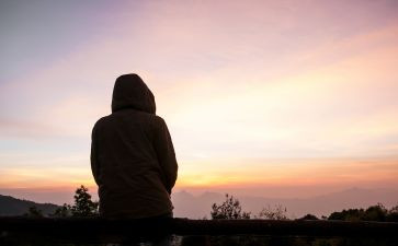 流浪猫的家作文模板5篇