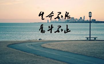 努力作文800字8篇