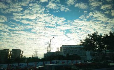 中考满分写人作文模板7篇