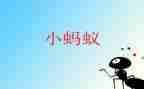 小蚂蚁教案8篇