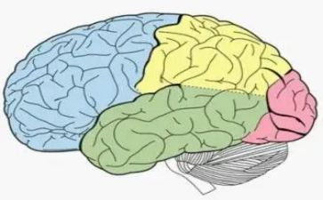 电脑的利与弊作文优秀6篇