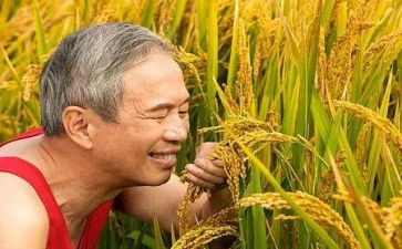 蛇与农夫的读后感5篇