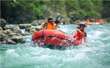 漂流岛读后感最新5篇