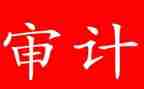审计员个人年度工作总结5篇