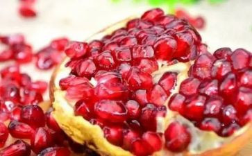 小石榴籽的读后感8篇