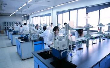 我做一项实验的作文最新5篇