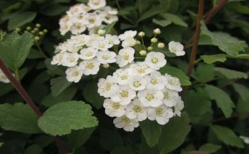 四月份教学总结8篇