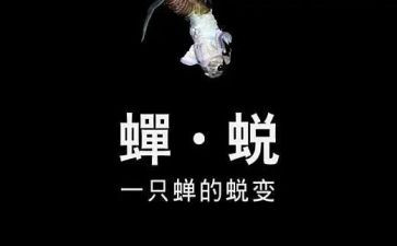 蜕变类作文优质8篇