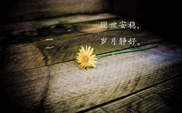 我愿意的观后感5篇