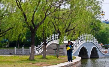 元旦游园会活动方案5篇