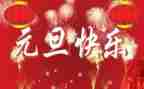 老师元旦活动方案8篇