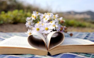 教师阅读心得体会优质5篇