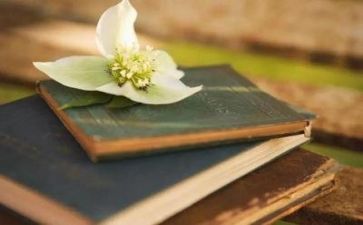 教师阅读心得体会7篇