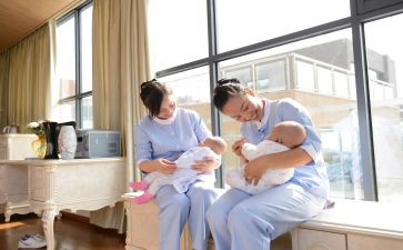 与月嫂的合同优质8篇