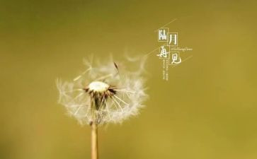 再见202o作文最新6篇