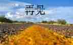再见二零二零作文5篇