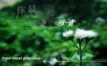 《友谊最珍贵》作文优质7篇