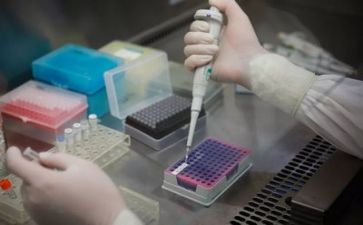 质量类述职报告精选6篇