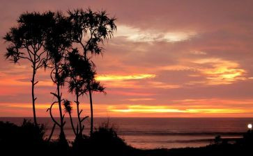 中一安全教案通用5篇